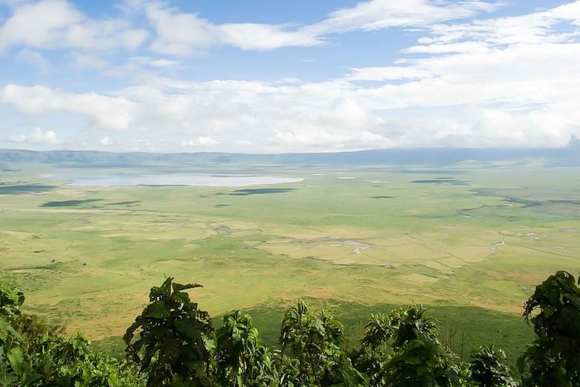 Picture 5 for Activity 2 Days 1 Night Tarangire & Ngorongoro Crater