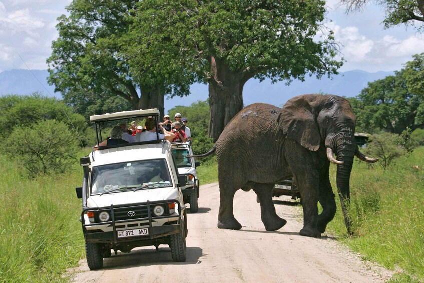 2 Days 1 Night Tarangire & Ngorongoro Crater