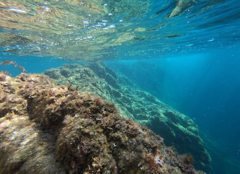 Picture 8 for Activity St. Feliu de Guíxols-Costa Brava: Kayaking & Snorkeling Tour