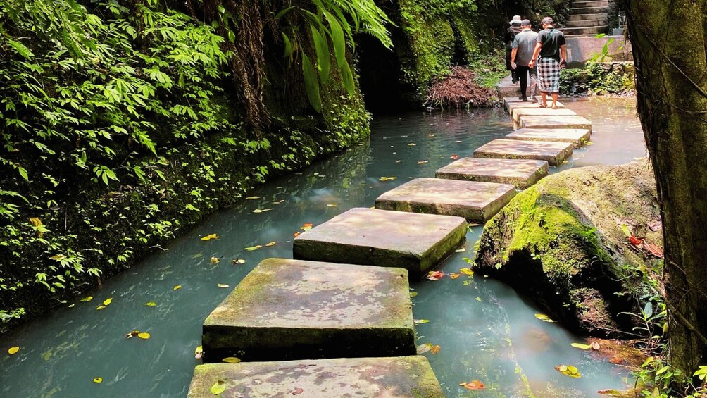 Picture 14 for Activity Bali: Ubud Rice Terraces, Monkey Forest & Waterfall Tour