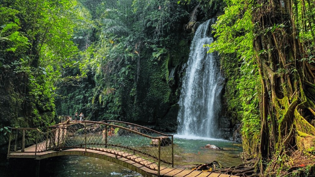 Picture 13 for Activity Bali: Ubud Rice Terraces, Monkey Forest & Waterfall Tour