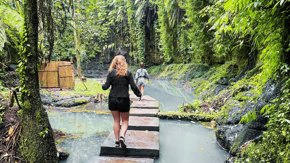 Picture 16 for Activity Bali: Ubud Rice Terraces, Monkey Forest & Waterfall Tour