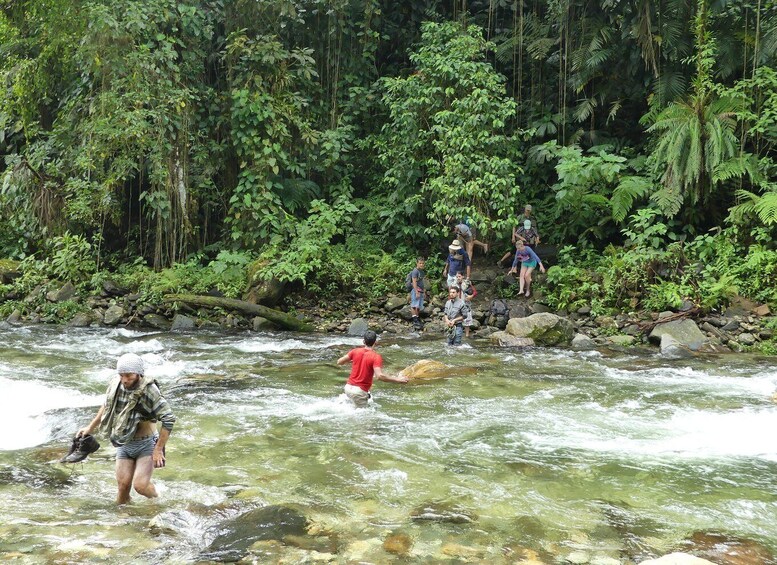 Picture 3 for Activity From Santa Marta: 4-Day Lost City Discovery Tour