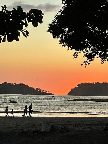 Picture 6 for Activity Costa Rica: Dolphin Watching & Snorkelling Experience