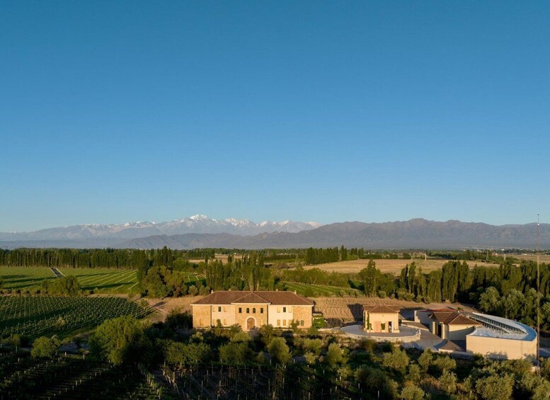 Picture 2 for Activity Organic, Biodynamic, and Experimental Adventure in Mendoza