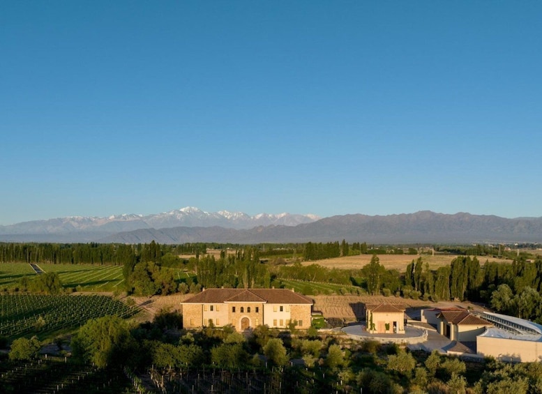 Picture 2 for Activity Organic, Biodynamic, and Experimental Adventure in Mendoza