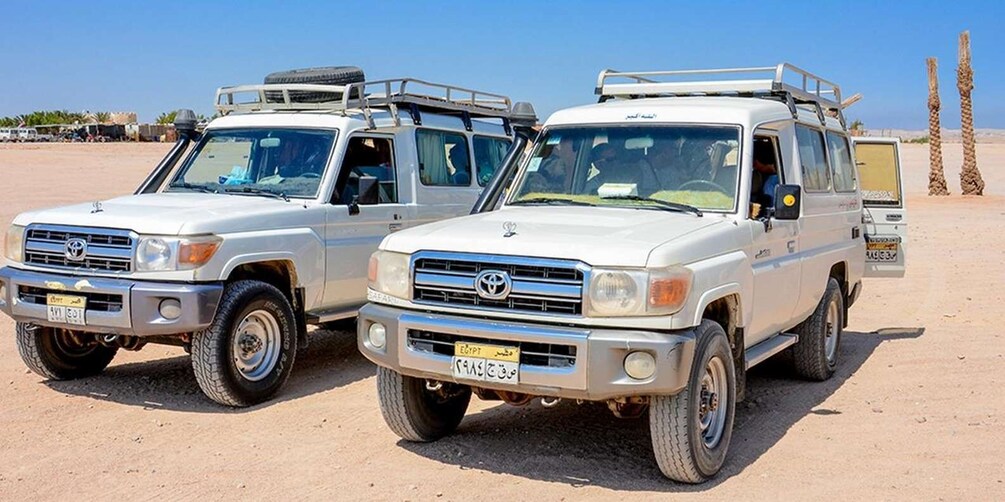 Picture 2 for Activity El Gouna: Jeep, Camel, Buggy, Safari to Sahara Park Hurghada