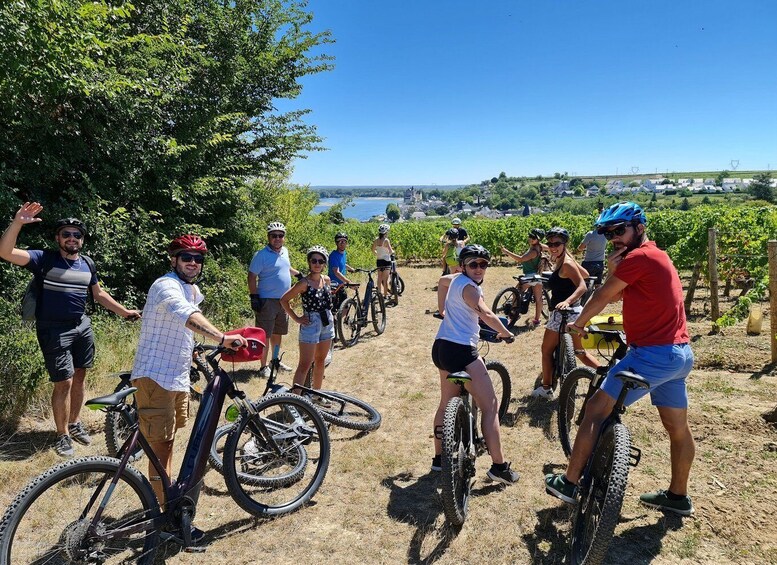 Picture 2 for Activity Amboise: Highlights Private E-Bike Tour w/ Clos Lucé Ticket