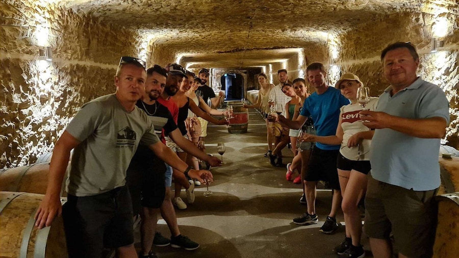 Amboise: Highlights Private E-Bike Tour w/ Clos Lucé Ticket