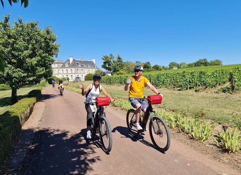 Picture 1 for Activity Amboise: Highlights Private E-Bike Tour w/ Clos Lucé Ticket