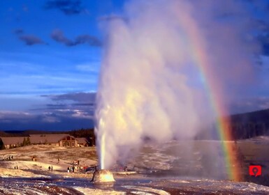 Yellowstone National Park: Selbstgeführte Scenic Drive Tour