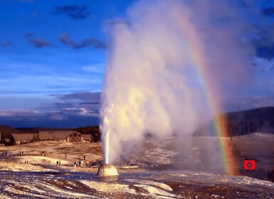 Yellowstone Nationalpark: Selvguidet tur med naturskøn kørsel