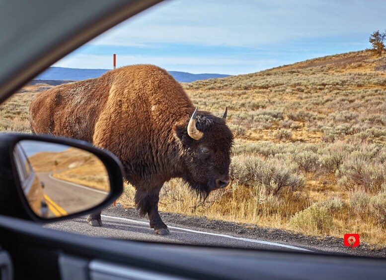 Picture 7 for Activity Yellowstone National Park: Self-Guided Scenic Drive Tour