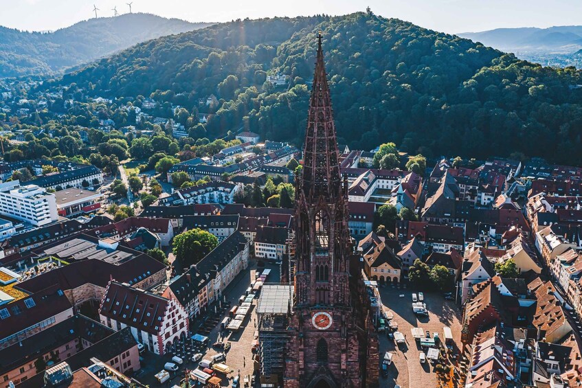 Picture 5 for Activity Freiburg: Veni, vidi, vino - wine hike and tasting