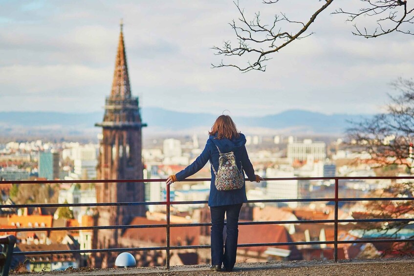 Picture 4 for Activity Freiburg: Veni, vidi, vino - wine hike and tasting