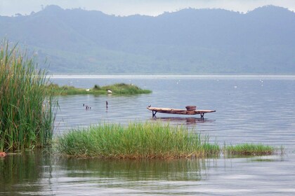 Addis Ababa: Perjalanan Sehari Penuh dengan Makan Siang di Danau Kawah Wenc...