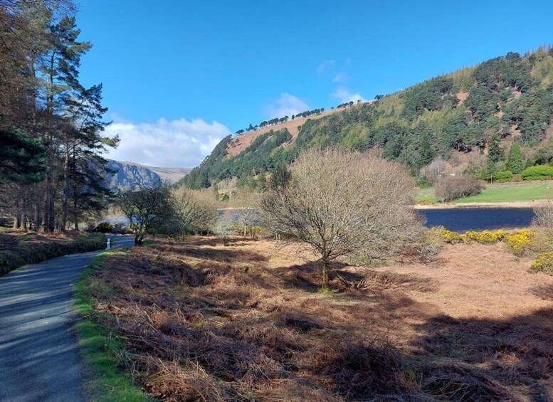 Picture 5 for Activity From Dublin: Glendalough and Wicklow Mountains Private Tour