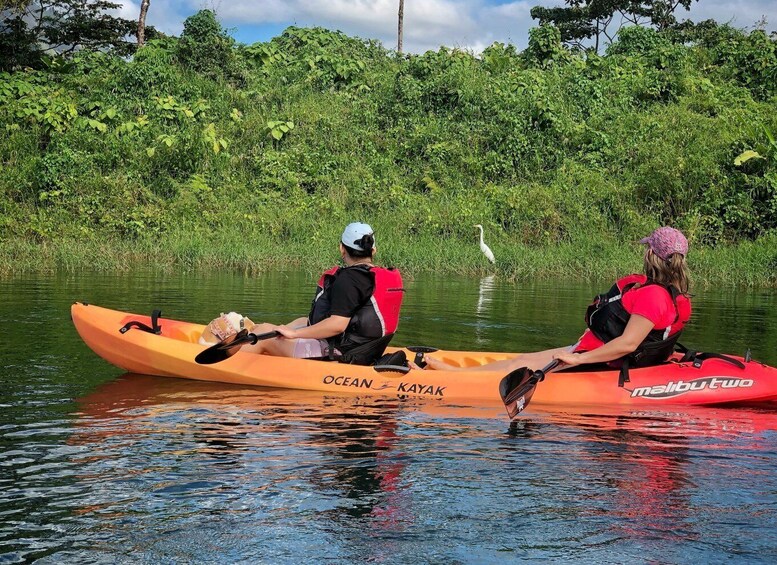 Picture 4 for Activity From El Castillo: Lake Arenal Kayak & SUP Tour with Snacks