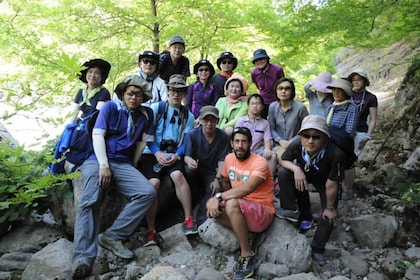 Vikos Trekking