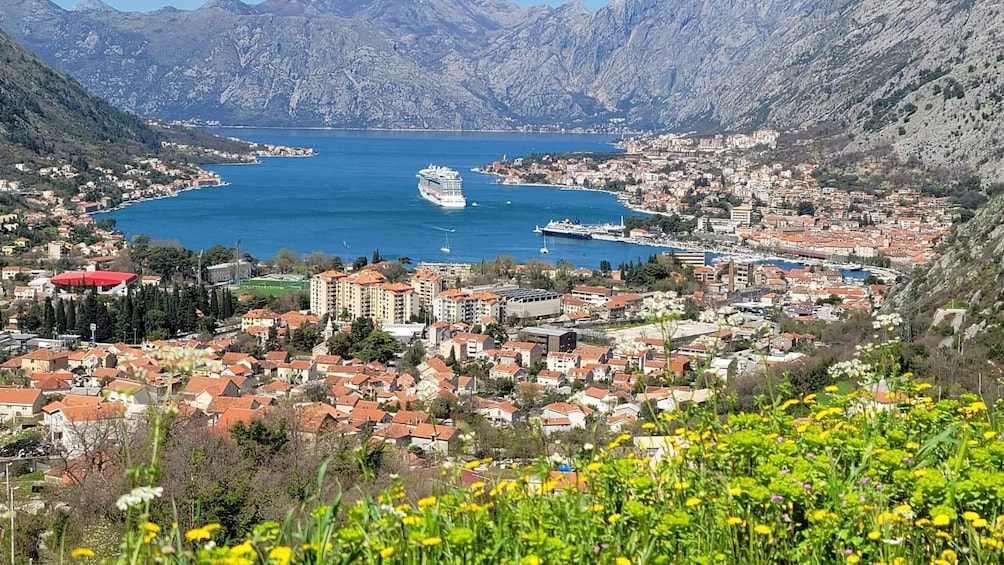 Picture 6 for Activity Kotor: Luxury Private Day Trip to Lovcen & Skadar Lake