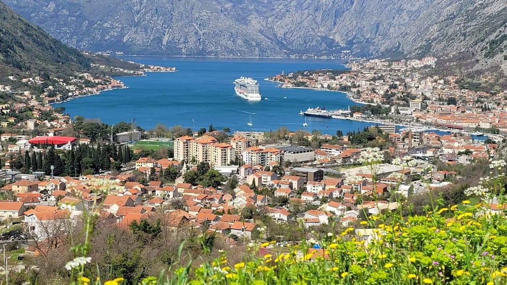 Picture 6 for Activity Kotor: Luxury Private Day Trip to Lovcen & Skadar Lake