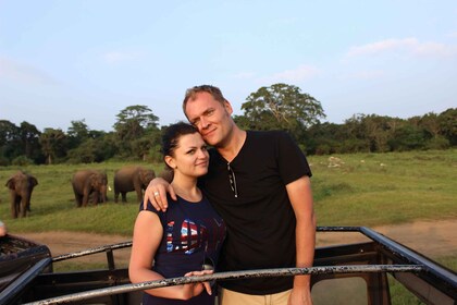 Desde Negombo: safari con todo incluido en el Parque Nacional Minneriya