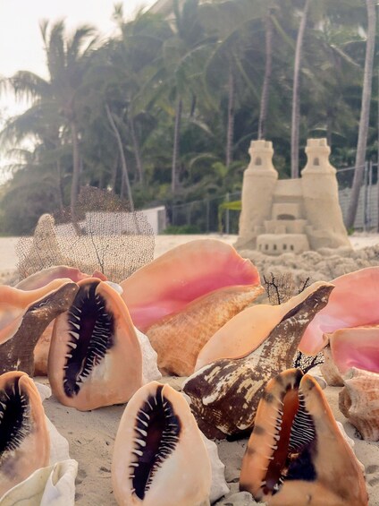 Picture 5 for Activity Nassau Bahamas: Sandcastle Sculpting Beach Activity & Picnic