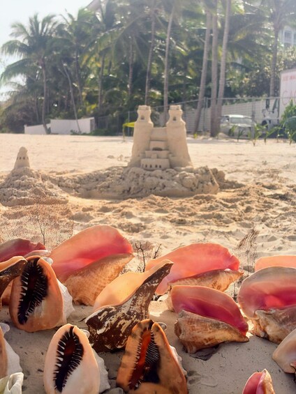 Picture 1 for Activity Nassau Bahamas: Sandcastle Sculpting Beach Activity & Picnic