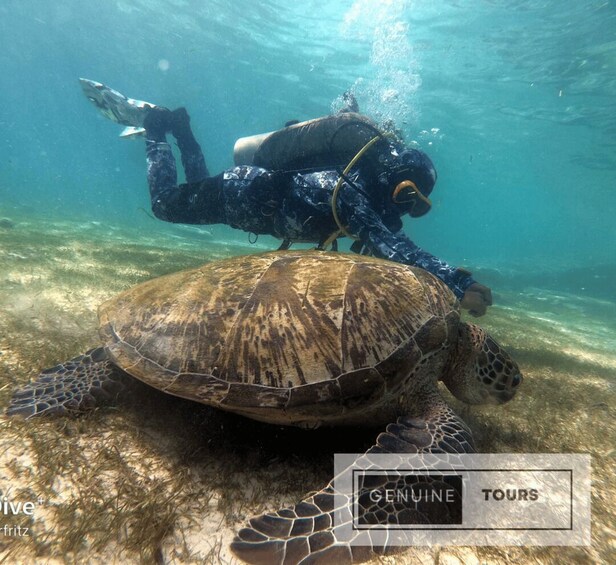 Picture 7 for Activity Genuine Tours - OSLOB Snorkeling