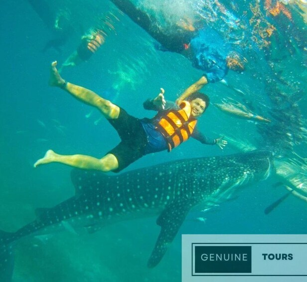 Picture 4 for Activity Oslob: Whaleshark & Canyoneering 2023