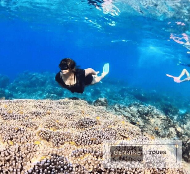 Picture 2 for Activity Genuine Tours - OSLOB Snorkeling