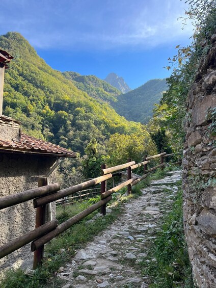 Picture 5 for Activity Garfagnana Tour by van from Lucca, Pisa or Livorno port