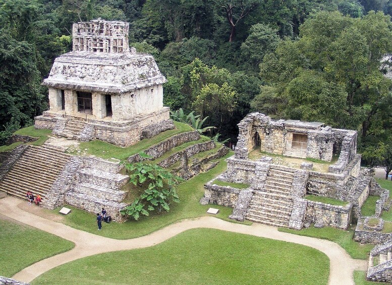 Picture 4 for Activity Palenque Archaeological Site Guided Walking Tour