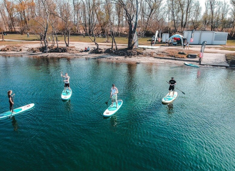 Picture 5 for Activity Bad Dürkheim: SUP Beginner Course