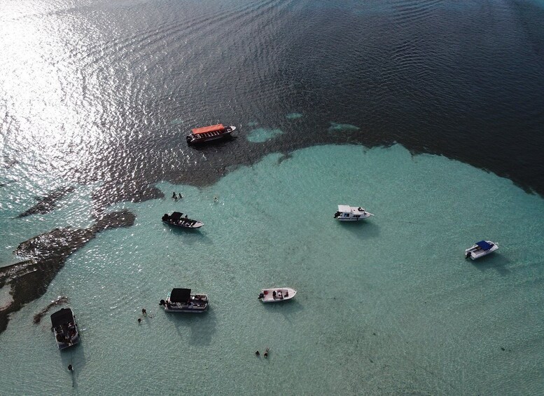 Picture 4 for Activity From San Andres: Cayo Acuario Tour