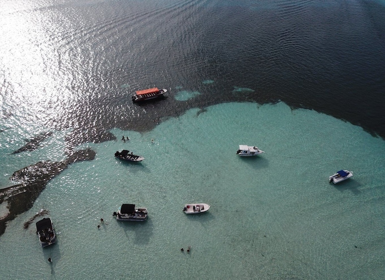 Picture 4 for Activity From San Andres: Cayo Acuario Tour