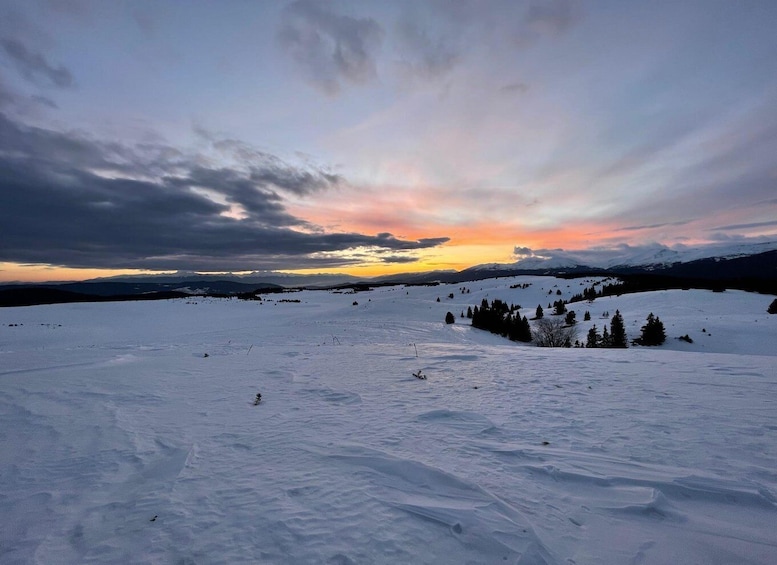 Picture 4 for Activity Best of Borovets: Magical Snowshoeing Adventure in Rila&SPA