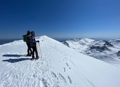 Best of Borovets: Magical Snowshoeing Adventure in Rila&SPA