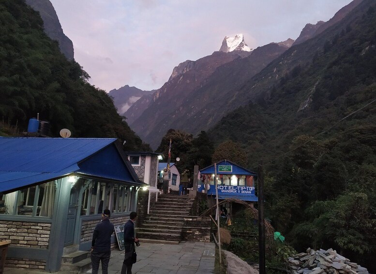 Picture 6 for Activity Annapurna Base Camp trek via Poon Hill Starting from Pokhara