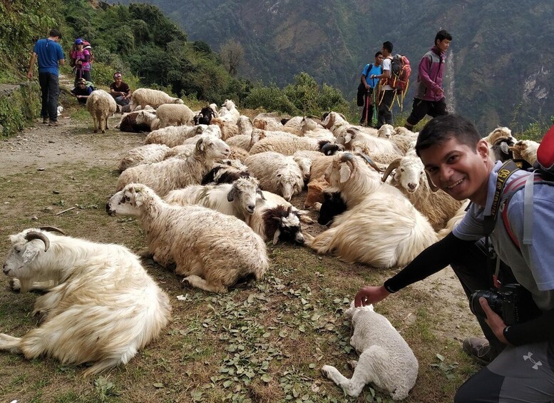 Picture 5 for Activity Annapurna Base Camp trek via Poon Hill Starting from Pokhara