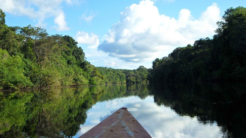 Picture 4 for Activity From Iquitos || 3-day adventure on the Yanayacu River ||