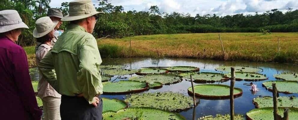 Picture 3 for Activity From Iquitos || 3-day adventure on the Yanayacu River ||