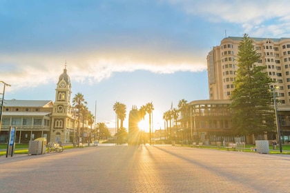 Adelaide Like a Local: Customised Guided Tour