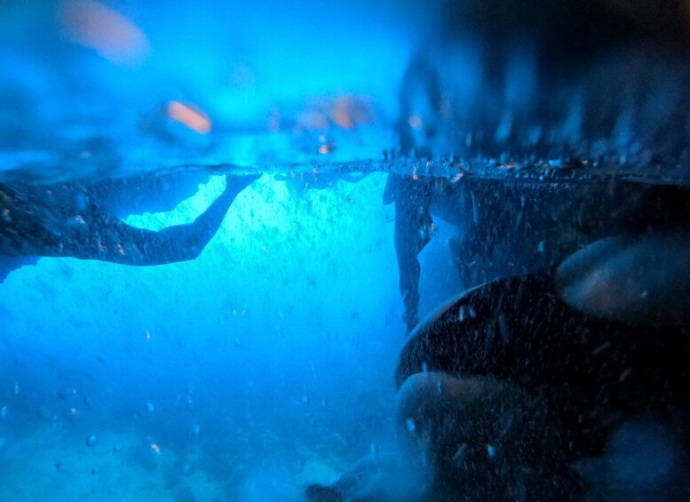 Picture 2 for Activity From Dubrovnik/Cavtat: Blue Cave, Sunj Beach Speed Boat Tour