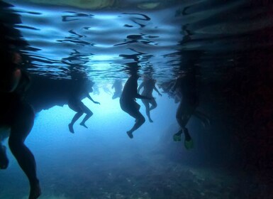 From Dubrovnik/Cavtat: Blue Cave, Sunj Beach Speed Boat Tour