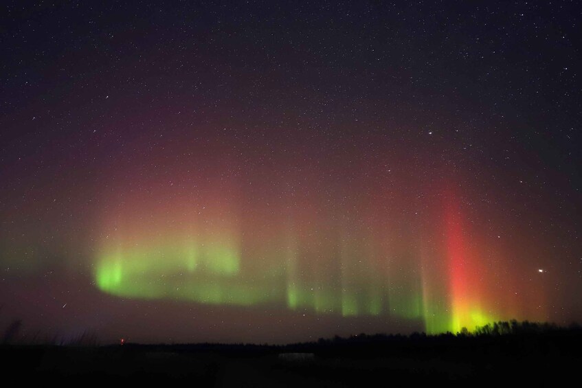 Picture 14 for Activity Rovaniemi: Aurora Hunting Tour By Van