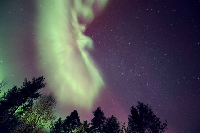 Picture 4 for Activity Rovaniemi: Aurora Hunting Tour By Van