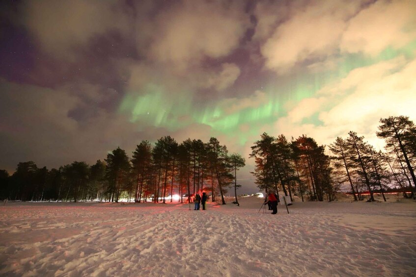 Picture 1 for Activity Rovaniemi: Aurora Hunting Tour By Van