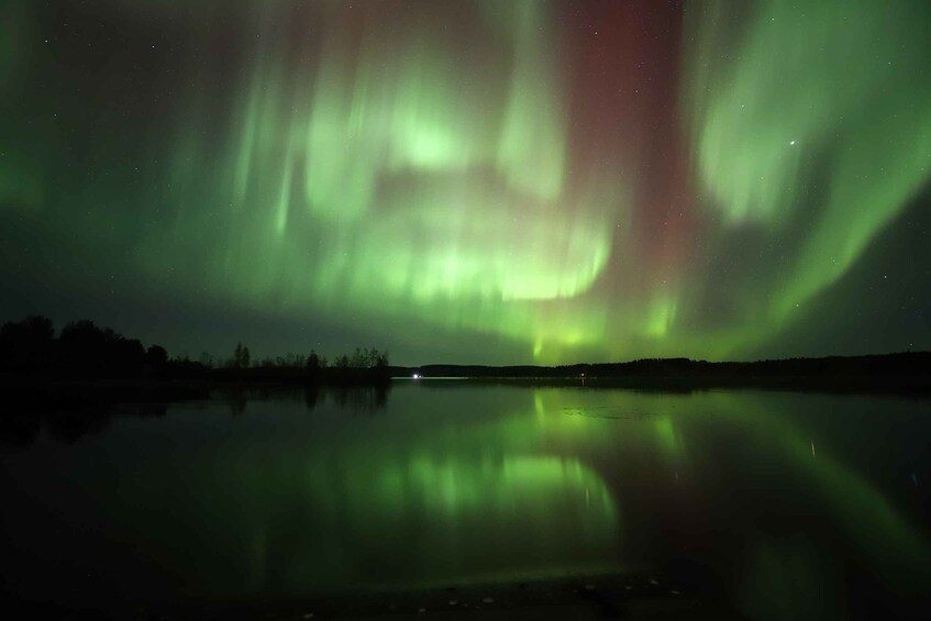 Picture 2 for Activity Rovaniemi: Aurora Hunting Tour By Van