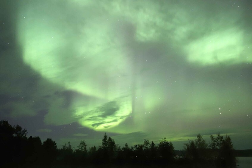 Picture 8 for Activity Rovaniemi: Aurora Hunting Tour By Van